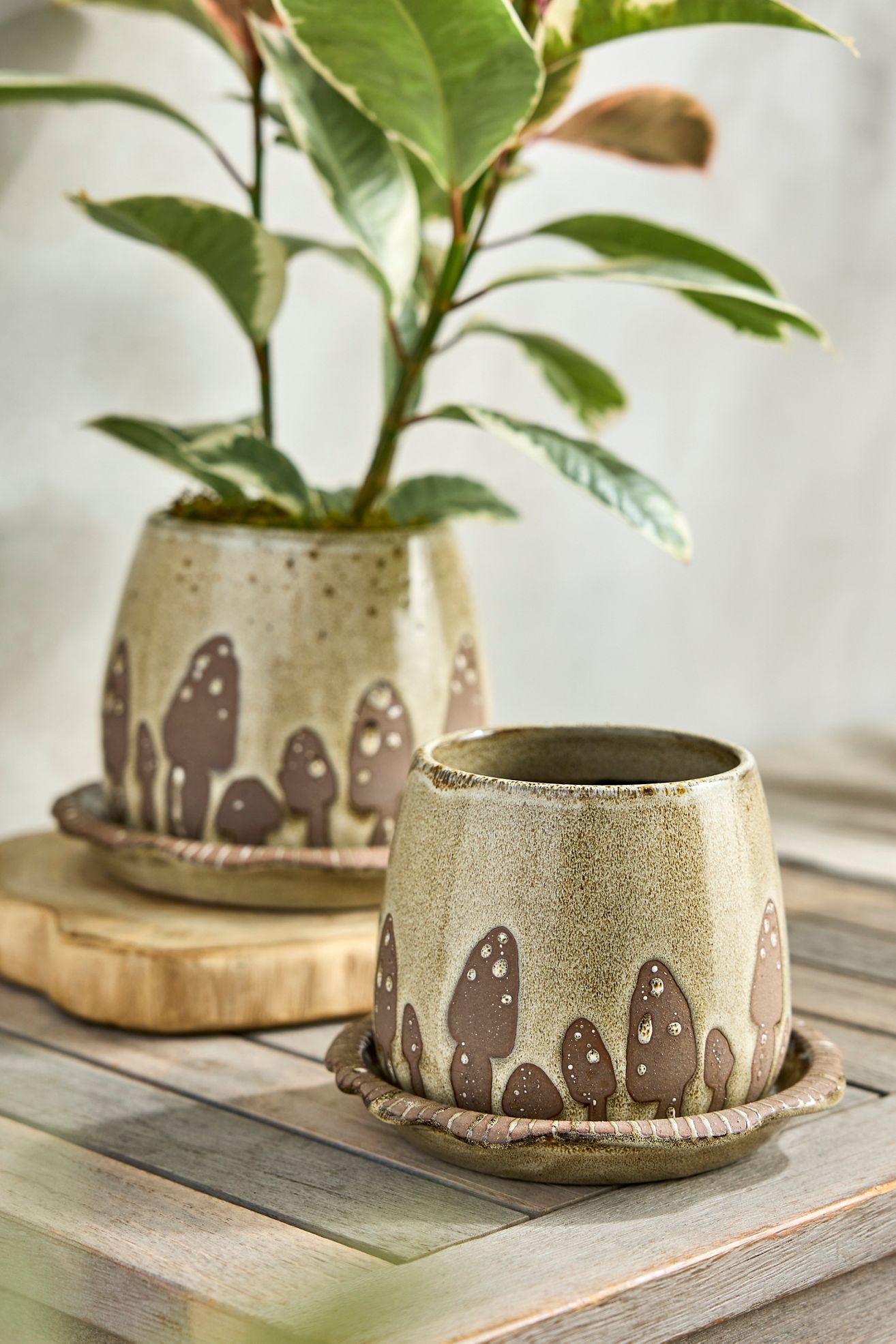 Mushroom Ceramic Pot + Saucer Set - Brown, 7"