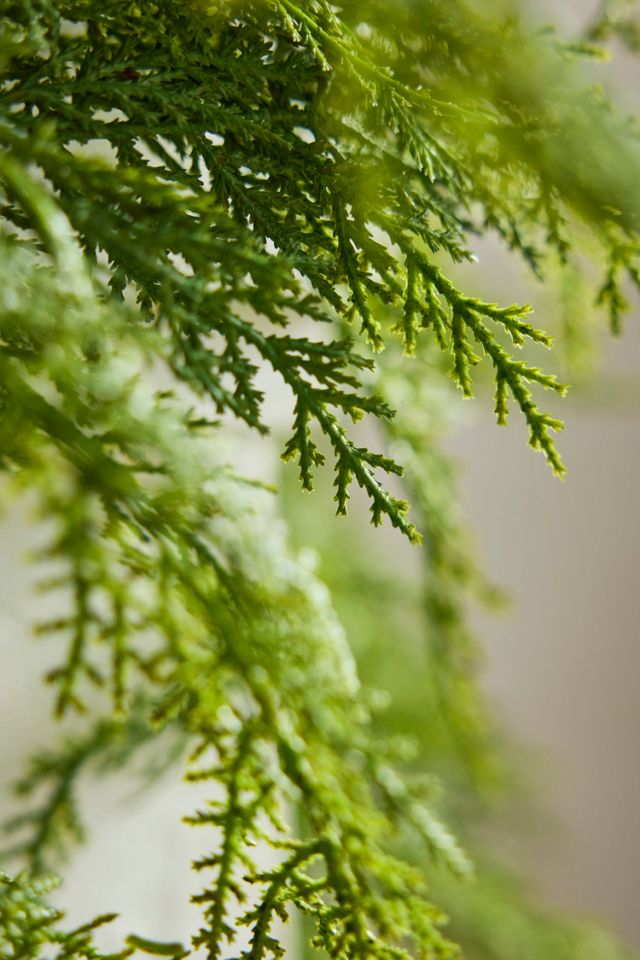 Faux Cedar Garland, Thick 108" #2
