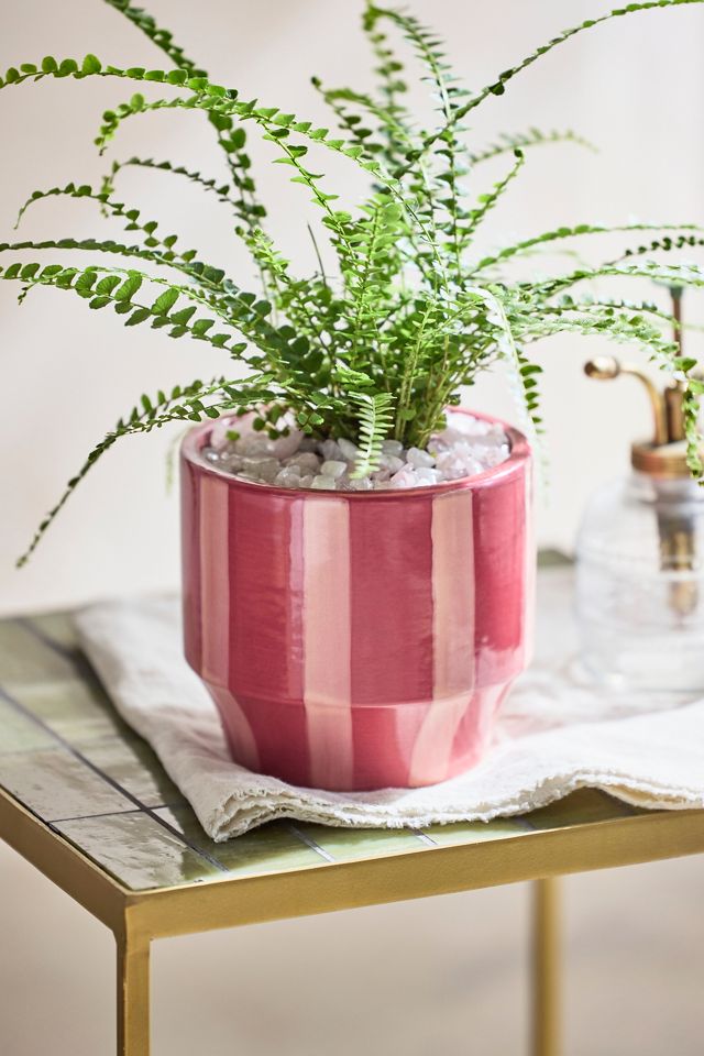 Vertical Stripe Glazed Ceramic Pot | Terrain