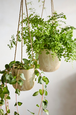 Hanging Marbled Ceramic Pot | 4"