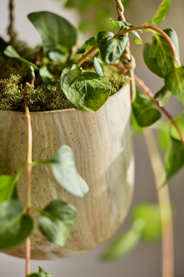 Hanging Marbled Ceramic Pot #1