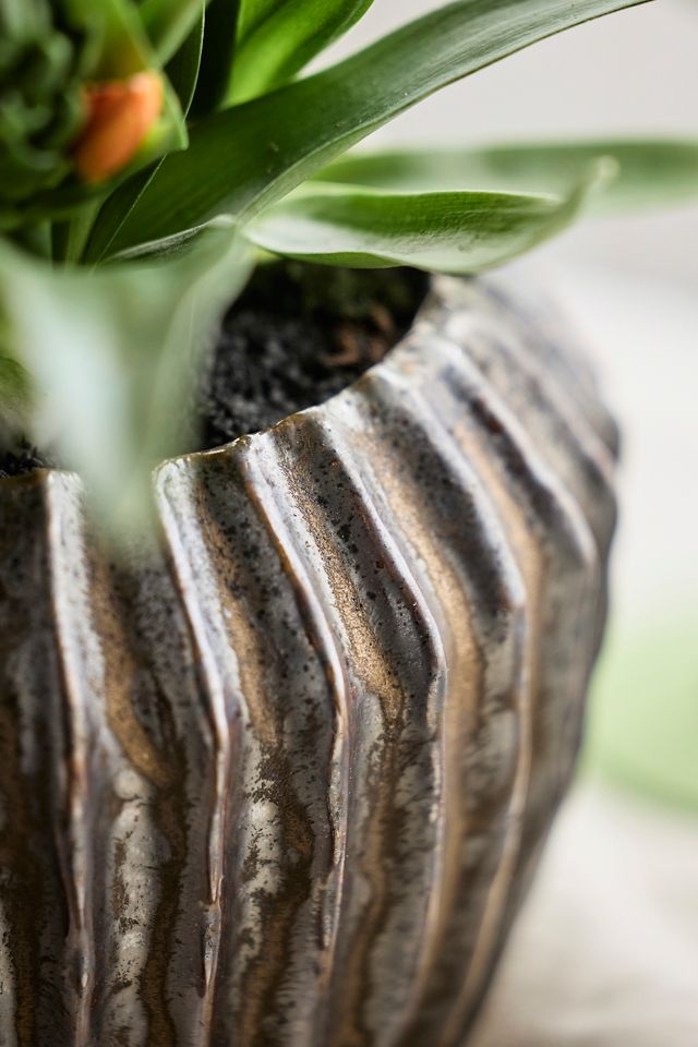 Ridged Ceramic Shoulder Pot | AnthroLiving