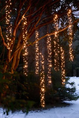 Stargazer Twinkling Tree Cascade Lights