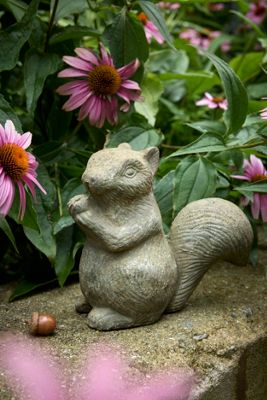 Cast Iron Squirrel