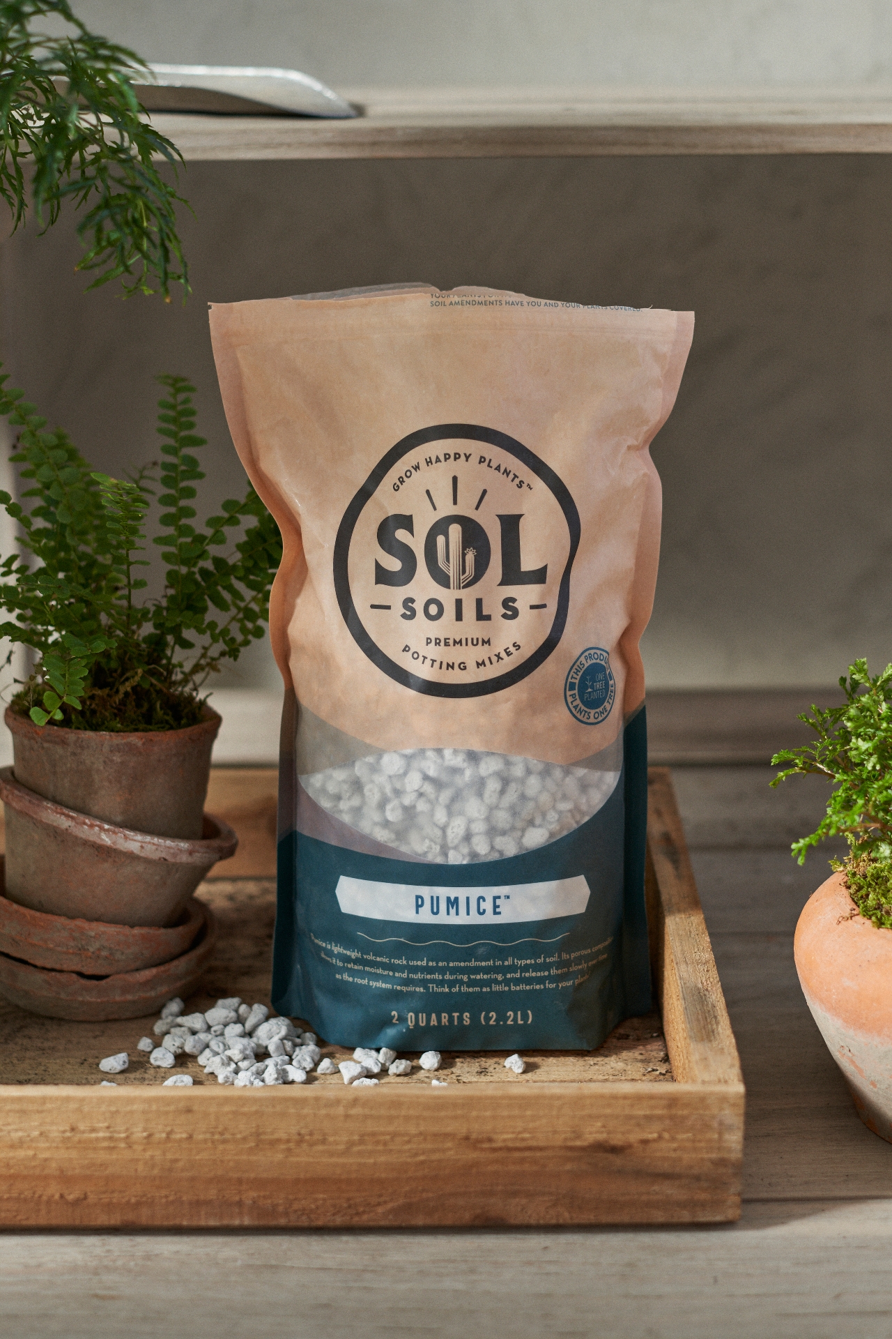 Sol Soils Pumice