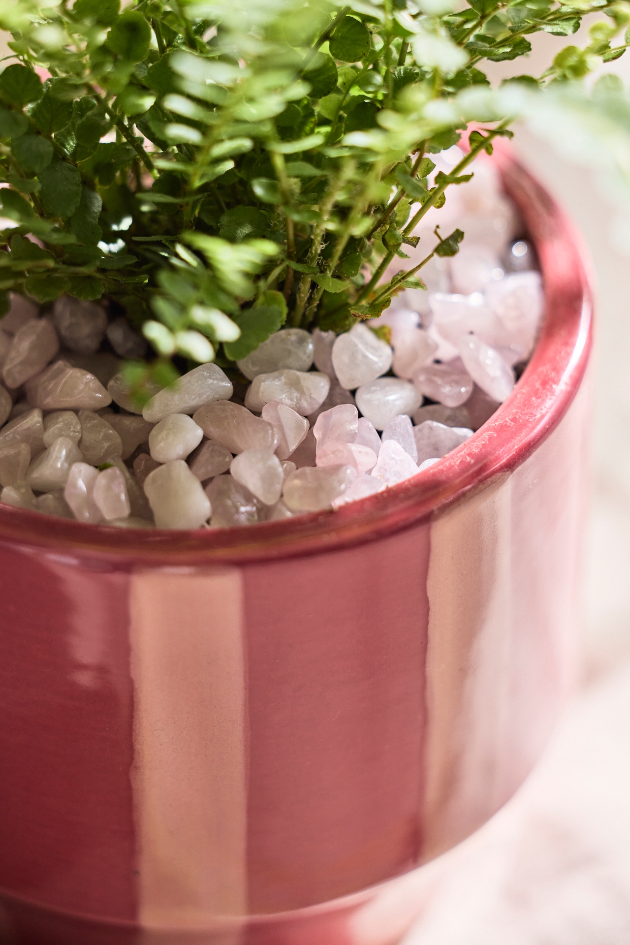 Rose Quartz Toppers