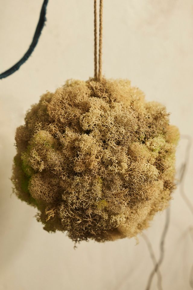 Hanging Preserved Reindeer Moss Sphere #1