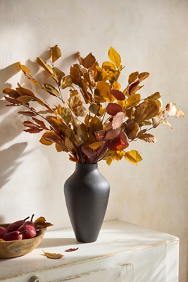 Terrain Preserved Fagus Bunch