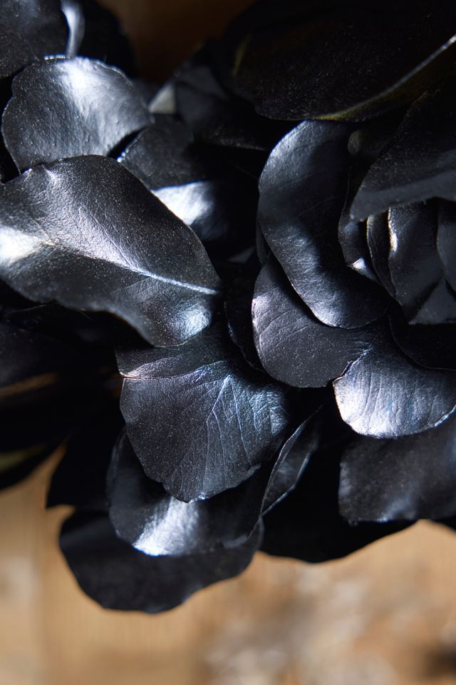 Dried Black Eucalyptus Wreath #1