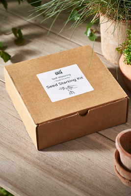Terrain Sixie Self Watering Seed Pot, Beige