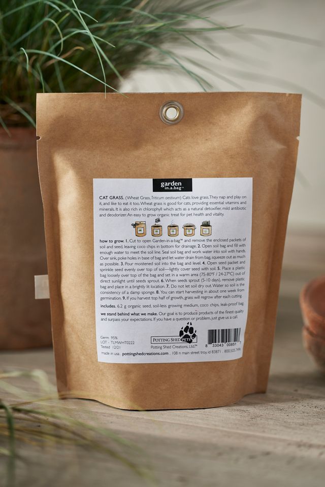 Cat Grass Grow Bag Kit #2