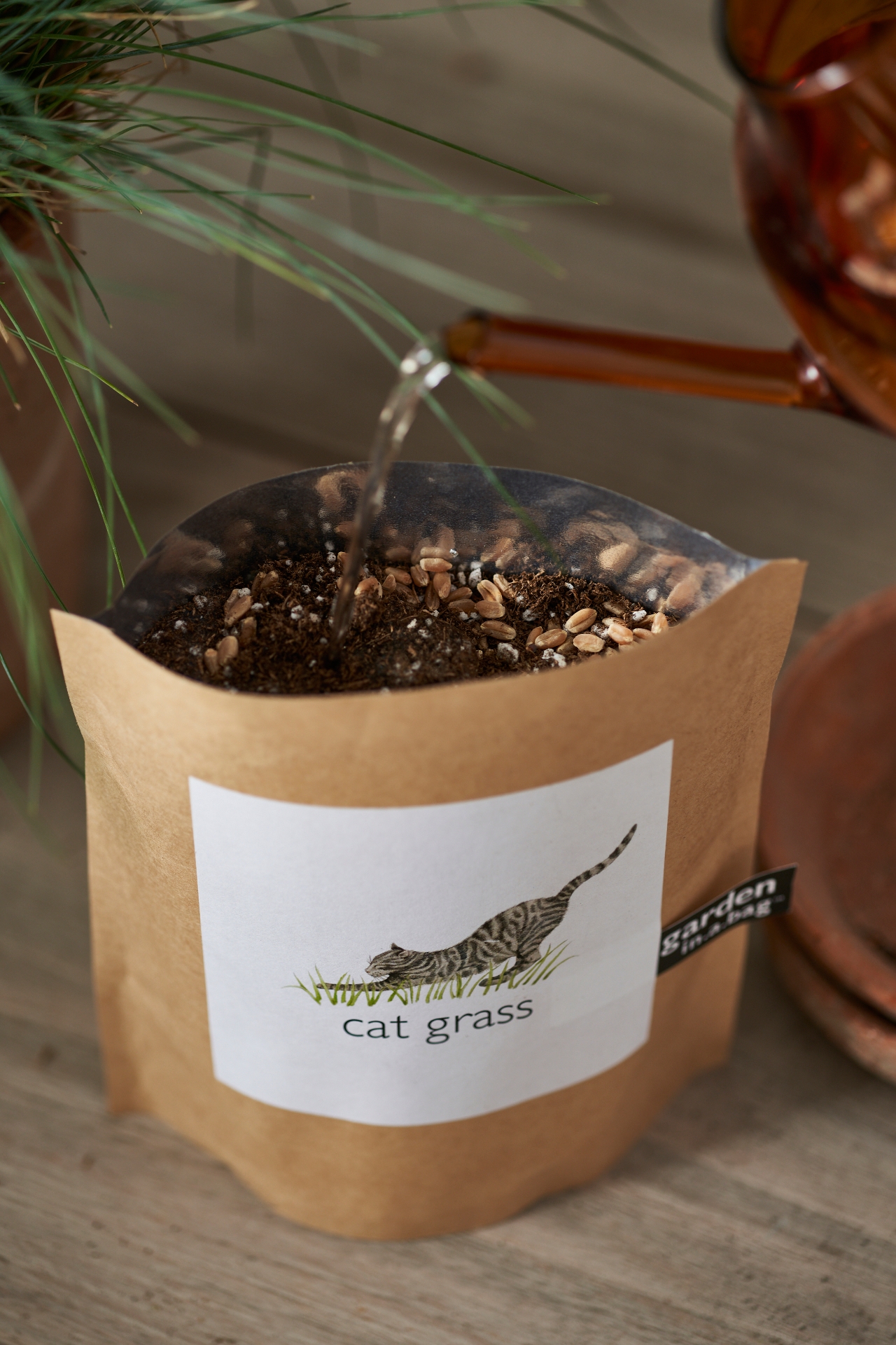 Cat Grass Grow Bag Kit