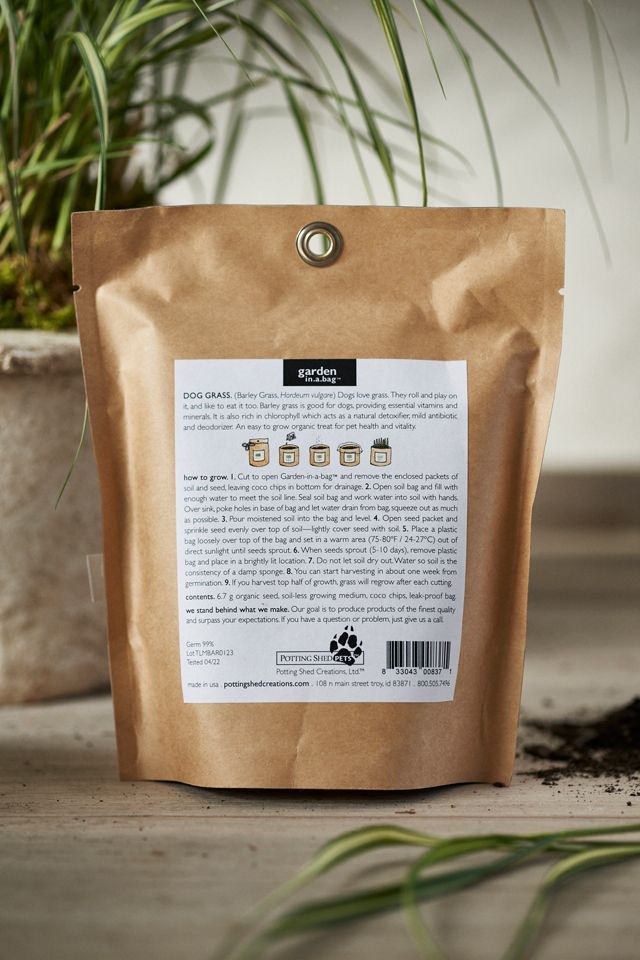 Dog Grass Grow Bag Kit #2