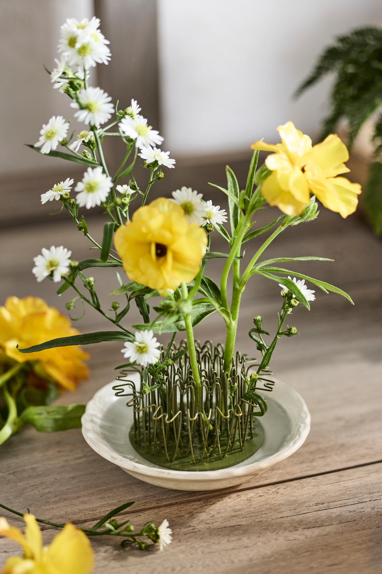 Round Floral Frog