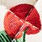 Cherries
