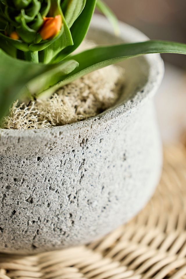 Pumice Pinched Rim Planter, Low #1