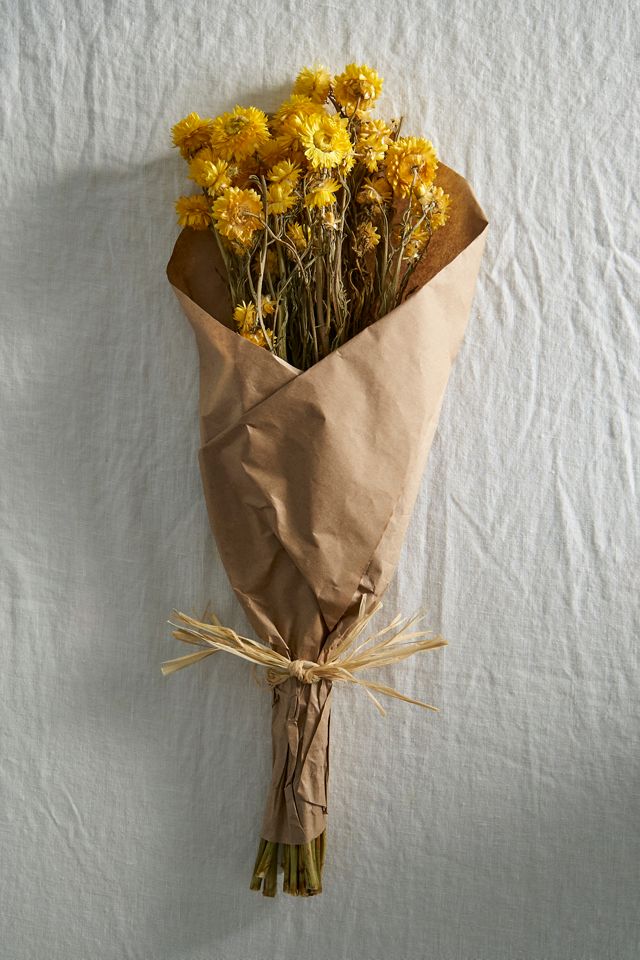 Dried Strawflower Bunch #2