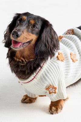 Seasonal 3D Motif Pet Sweater