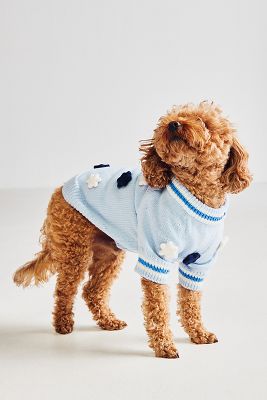 Scottie dog sweater anthropologie store
