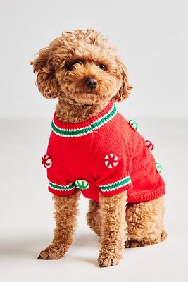 Best Gifts for Dogs Cats Anthropologie