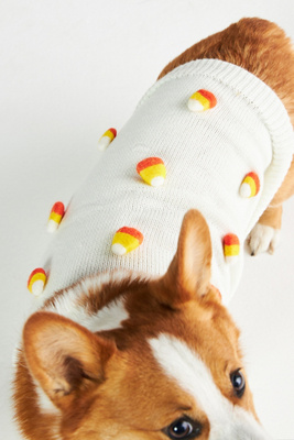 Found My Animal X Anthropologie 3d Motif Pet Sweater In Multicolor