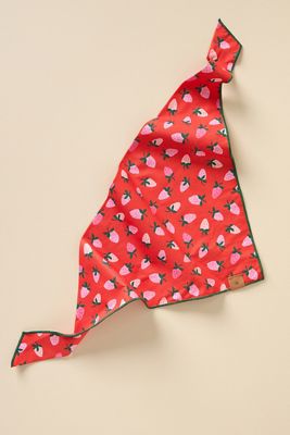 The Foggy Dog Pet Bandana
