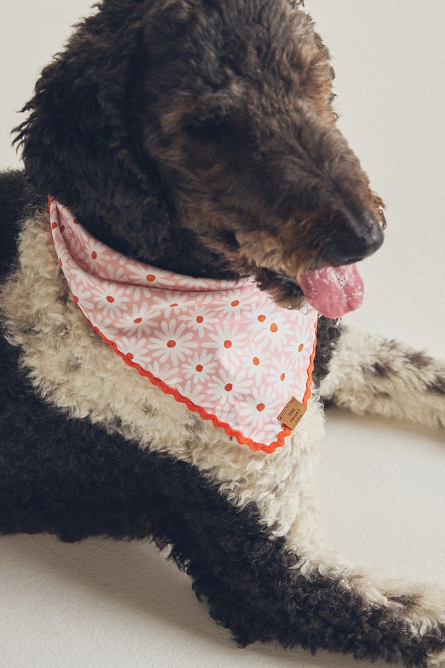 The Foggy Dog Pet Bandana #2