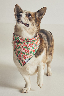 The Foggy Dog Pet Bandana