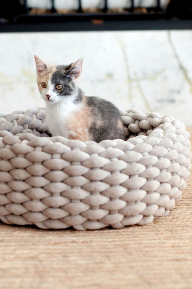 Mau Pet Vevo Cat Bed #3
