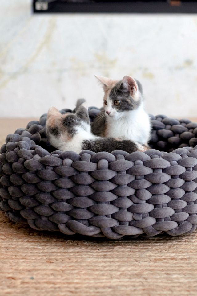 Mau Vevo Cat Bed #4