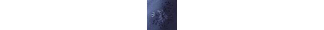 BHLDN Selma Halter-Neck High-Shine Satin Maxi Dress #4