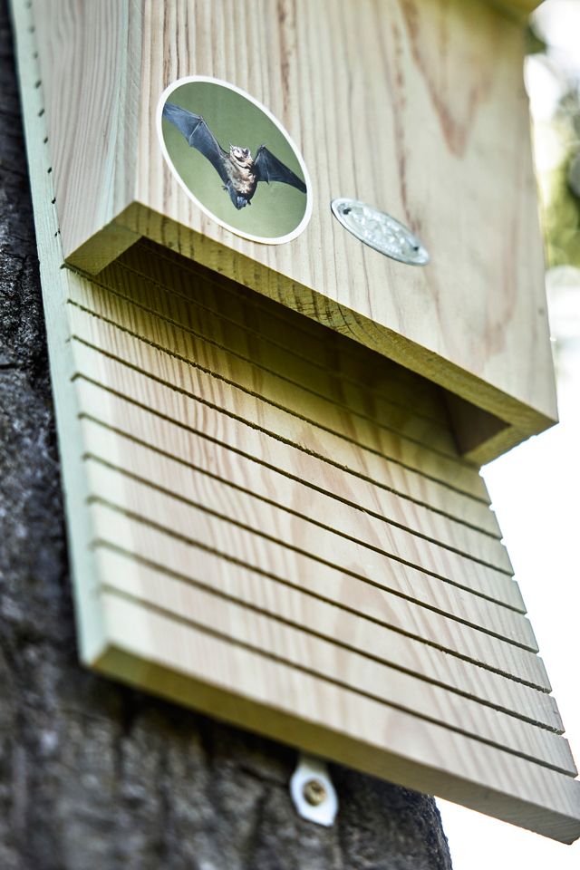 Wooden Bat House #1