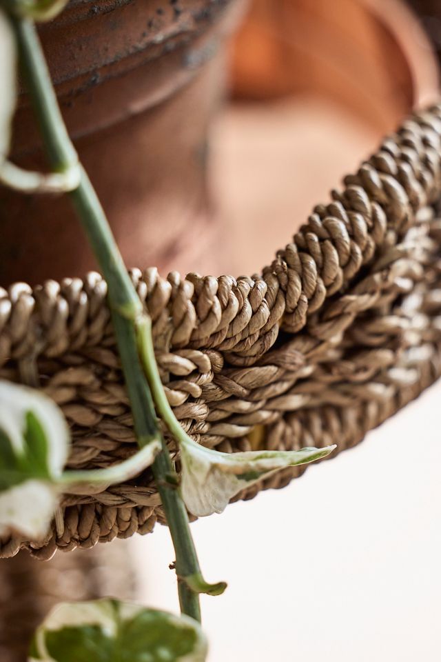 Scalloped Wicker Plant Stand #2