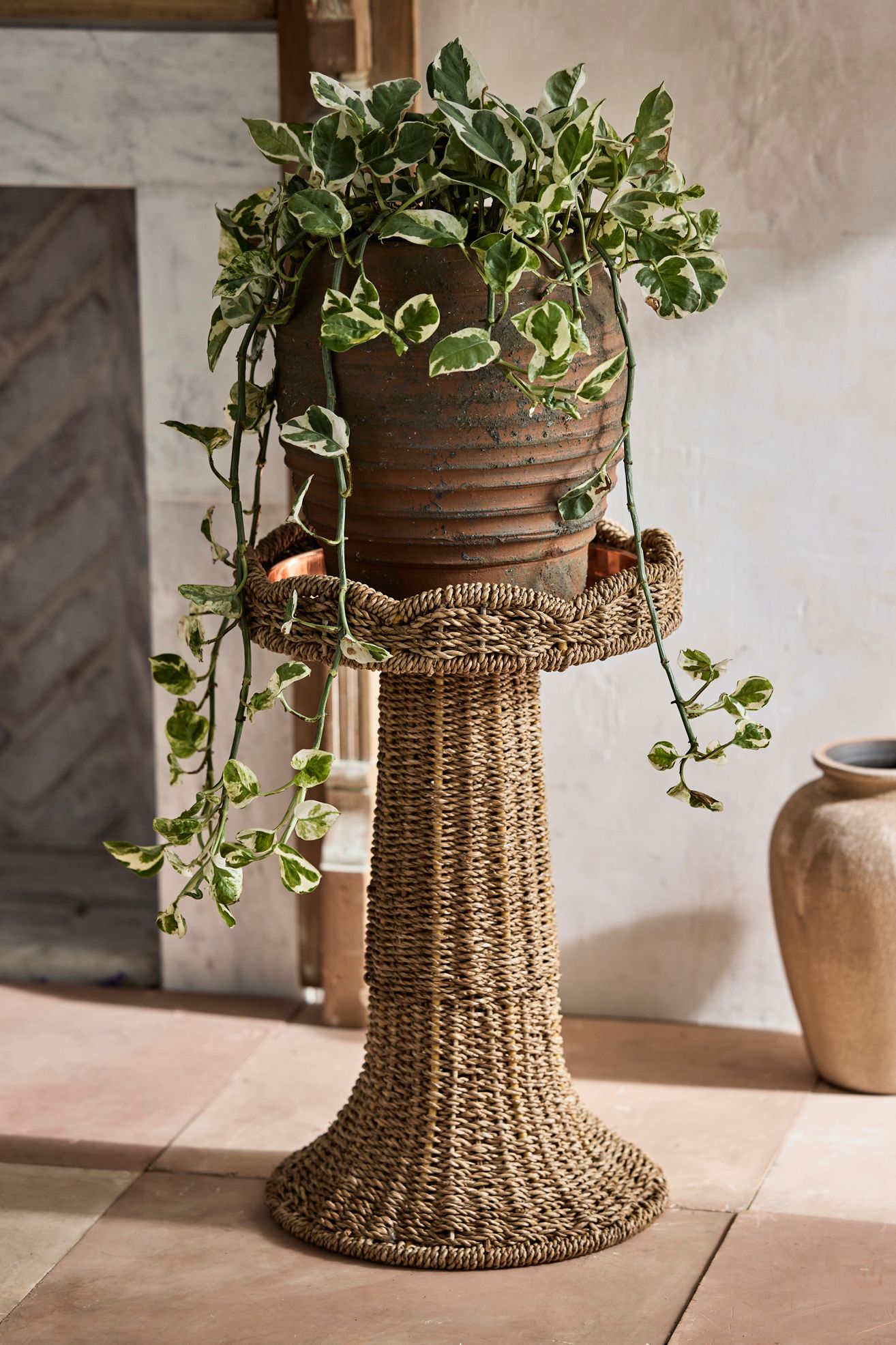 Scalloped Wicker Plant Stand - Natural, Standard, 21"