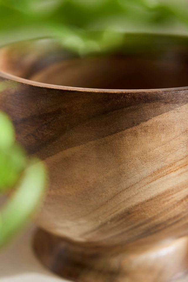 Footed Acacia Bowl Planter #2