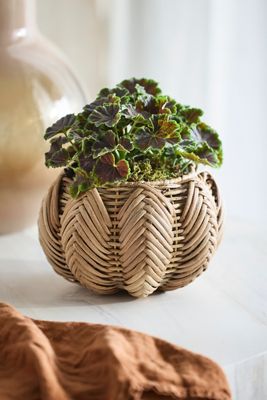 Pumpkin Woven Rattan Pot