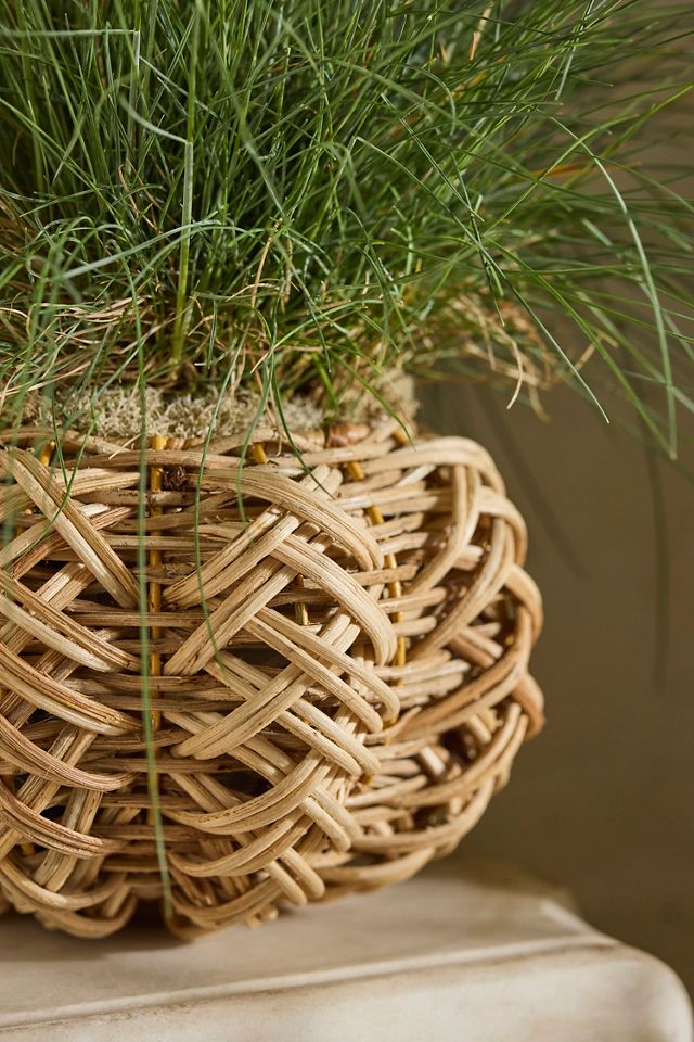 Pumpkin Open-Weave Rattan Pot #1