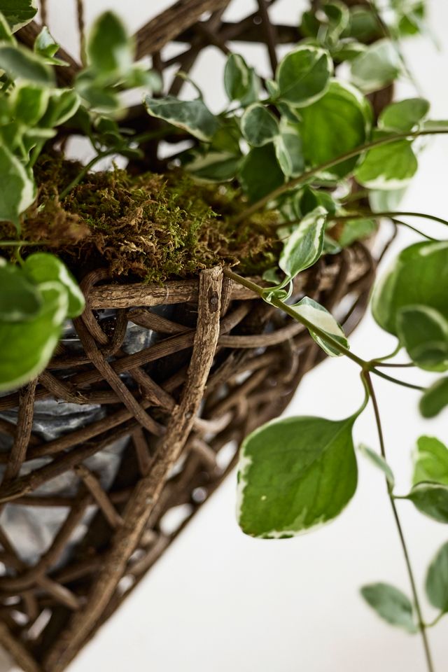 Hanging Twig Heart Planter #1