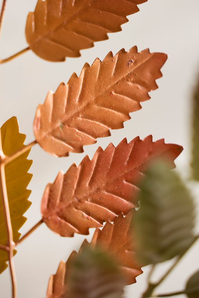 Mountain Ash Iron Bunch #1