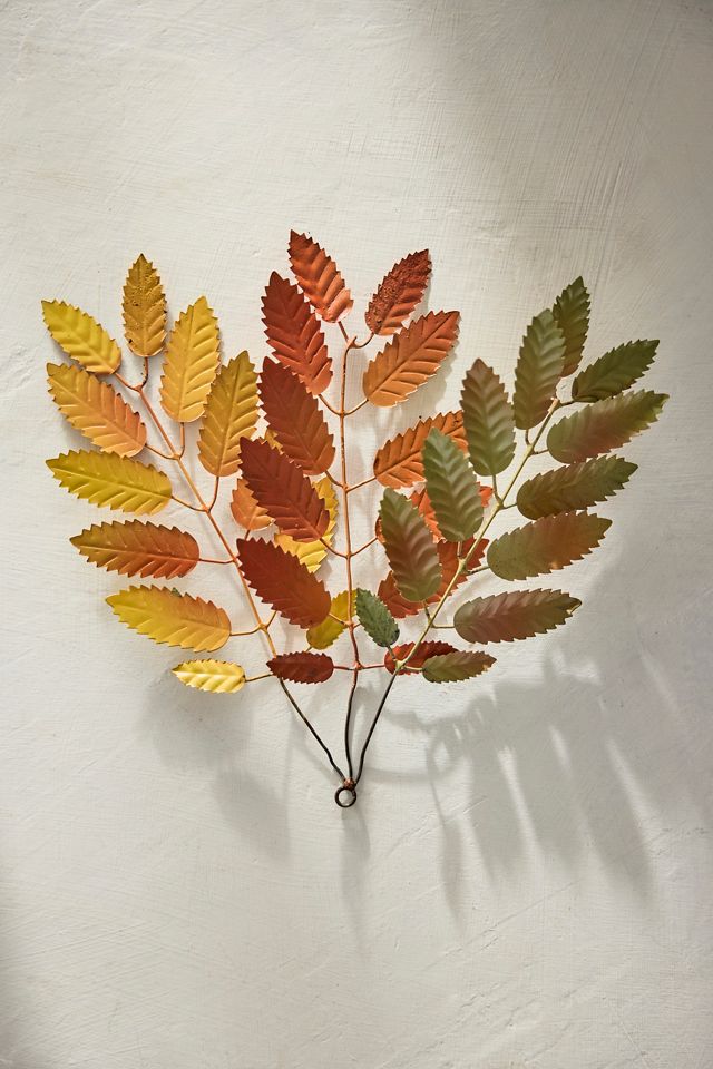 Mountain Ash Iron Bunch #2