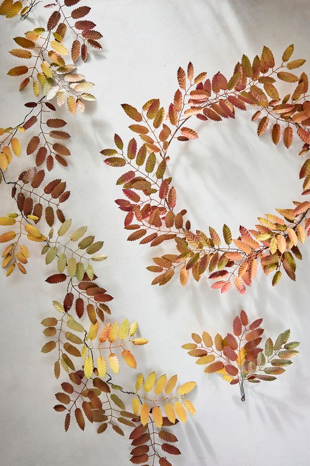 Mountain Ash Iron Bunch #3