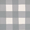 Blue Gingham