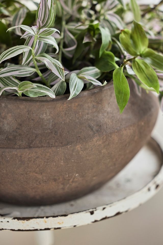 Olympia Terracotta Bowl Planter #1
