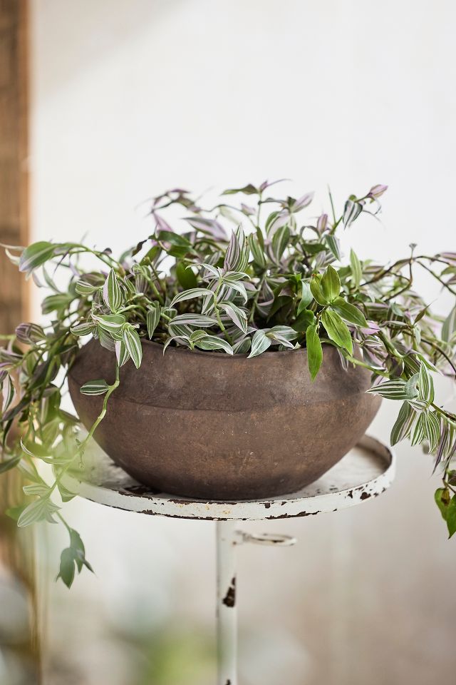 Olympia Terracotta Bowl Planter | Terrain