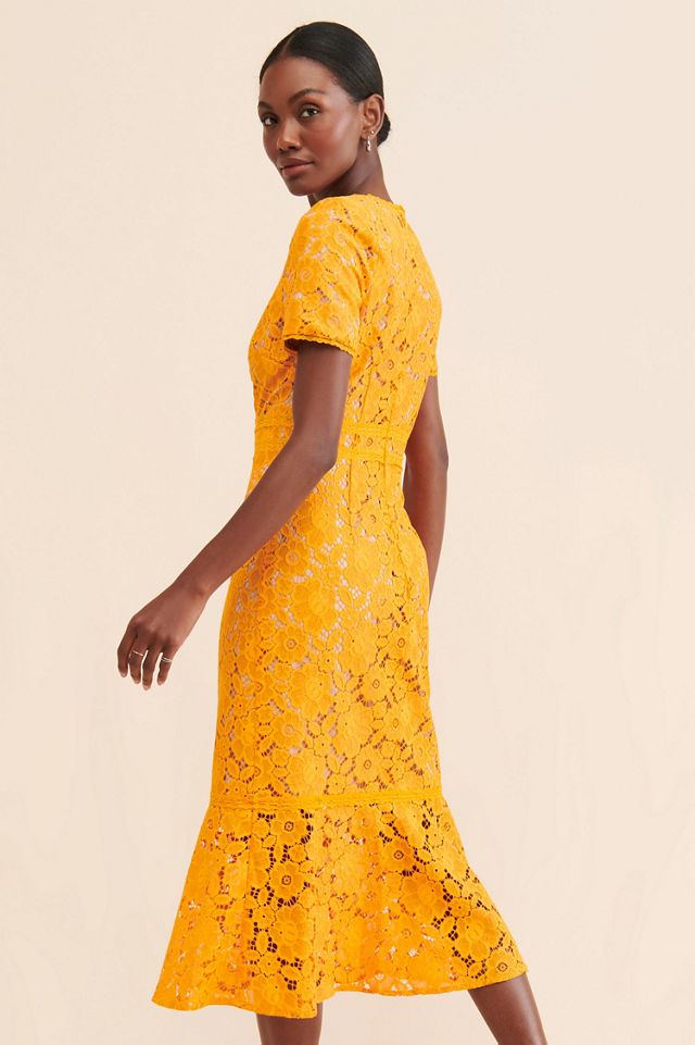 Rachel Parcell Fitted Lace Midi Dress #1