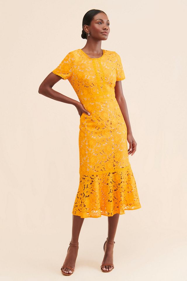 Rachel Parcell Fitted Lace Midi Dress #2