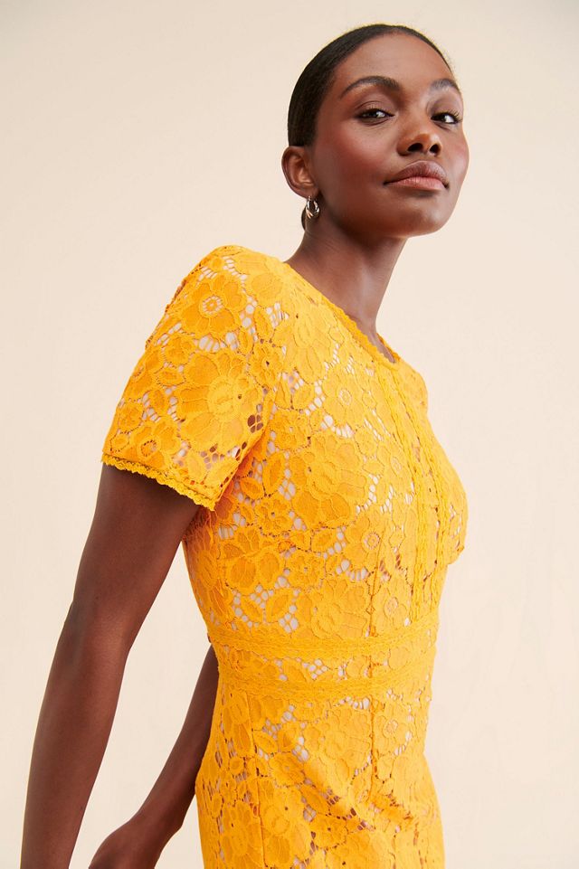 Rachel Parcell Fitted Lace Midi Dress #3