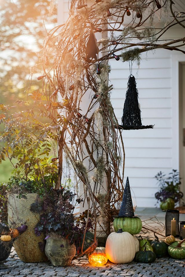 Black Vine Witch Hat #4