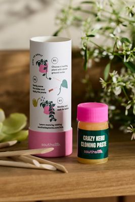 Southside Crazy Keiki Cloning Paste