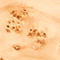 LIGHT BURL
